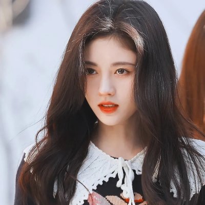 梅花档案